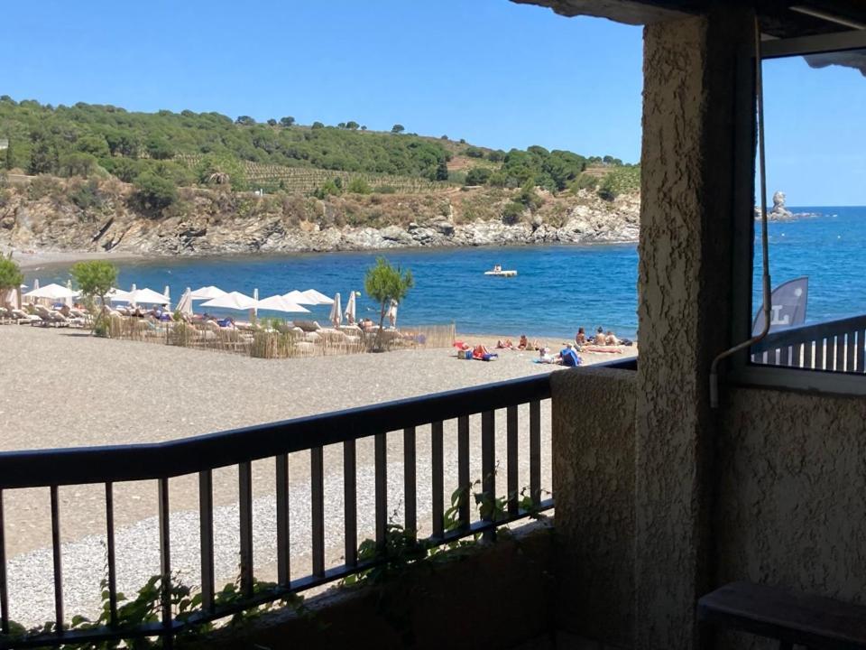 Apartmán Les Pieds Dand L'Eau Banyuls-sur-Mer Exteriér fotografie